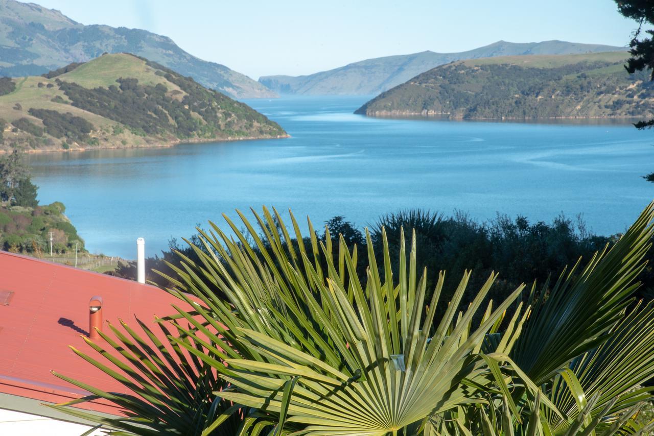 Twin Gullies Bed & Breakfast Akaroa Exterior photo